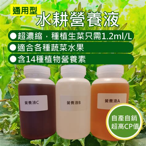 水培營養液|自製水培營養液：提升植物生長與產量的必備祕訣 